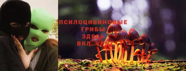 тгк Осташков