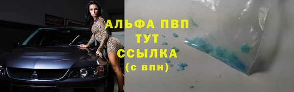 амф Осинники
