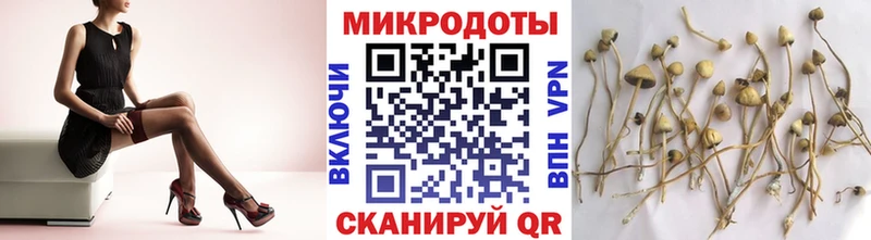 закладки  Рыльск  Псилоцибиновые грибы GOLDEN TEACHER 